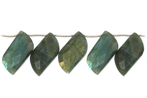 Labradorite Faceted Leaf S Shape Beads