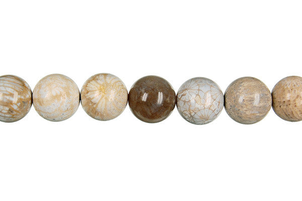 Fossil Coral Round Beads
