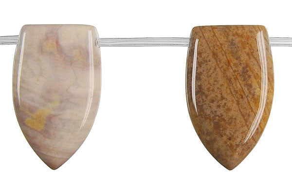 Rainbow Onyx Shield Beads