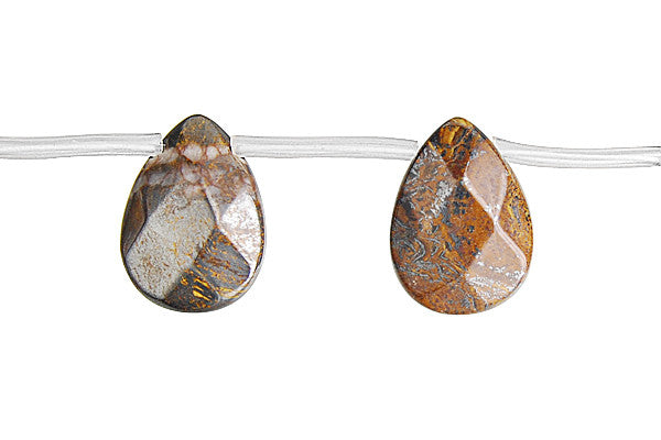 Tiger Iron (AAA) Faceted Flat Briolette Beads