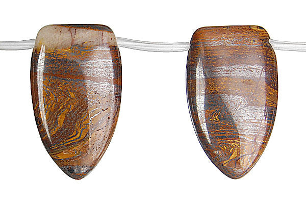 Tiger Iron (AAA) Shield Beads