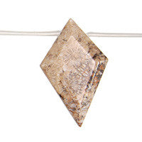 Fossil Coral Diamond Beads