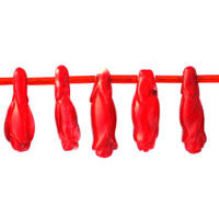 Coral (Red) Pomegranate Beads