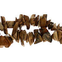 Picture Jasper Chips Beads
