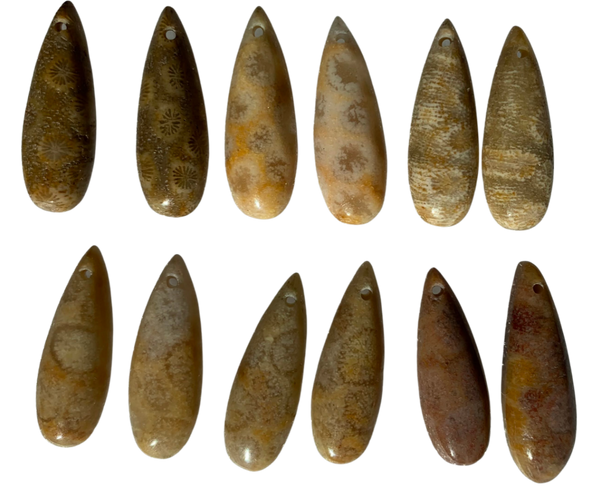 Fossil Coral Teardrop Pendant 8x22mm/Piece