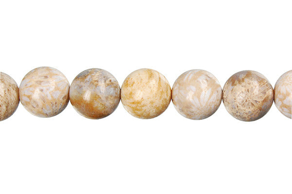 Fossil Coral Round Beads