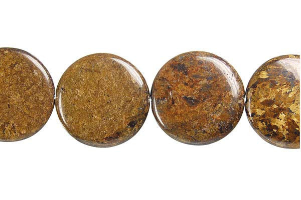 Bronzite Coin Beads