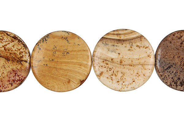 Picture Jasper Coin Beads