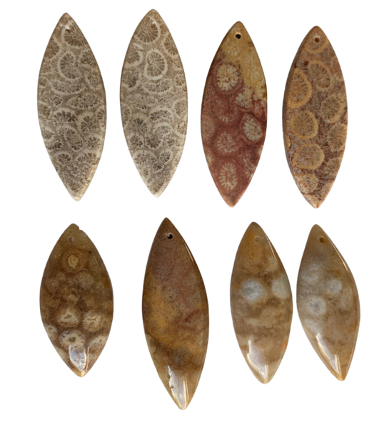 Fossil Coral Marquise