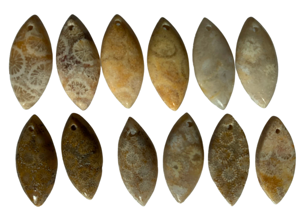 Fossil Coral Marquise